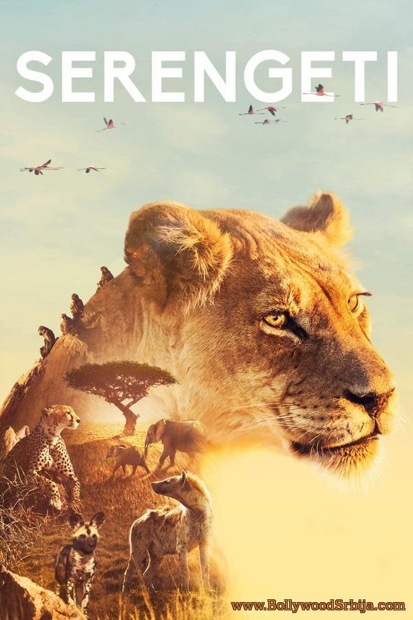 Serengeti (2019) S01E02