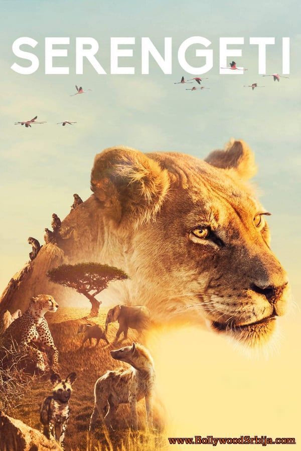Serengeti (2019) S01E05