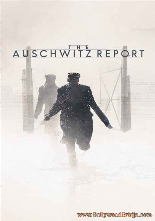 The Auschwitz Report (2020)
